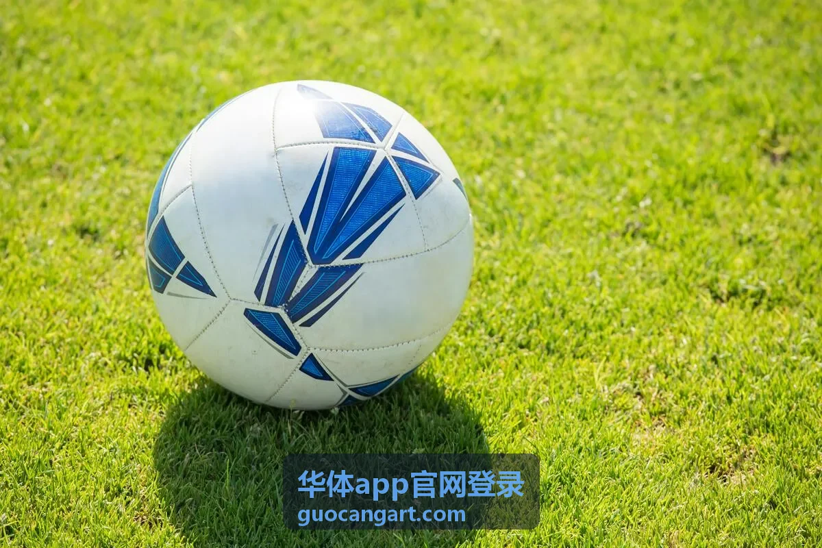 华体app官网登录页面展示