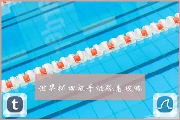 世界杯回放手机观看攻略